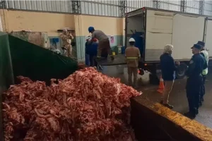 Transportaban carne porcina sin refrigeración y con olor putrefacto: fue decomisada